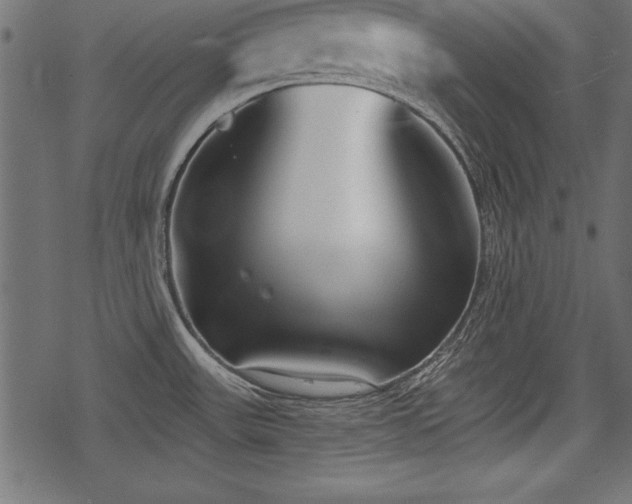 X0000078291531200611031219