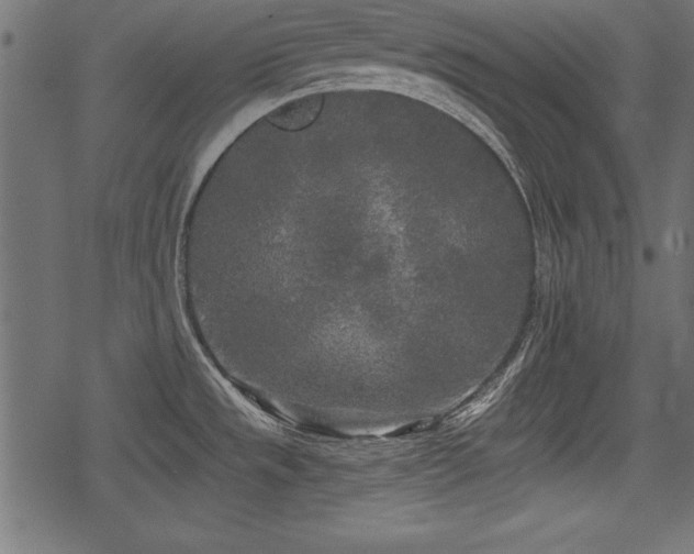 X0000078291533200611031219