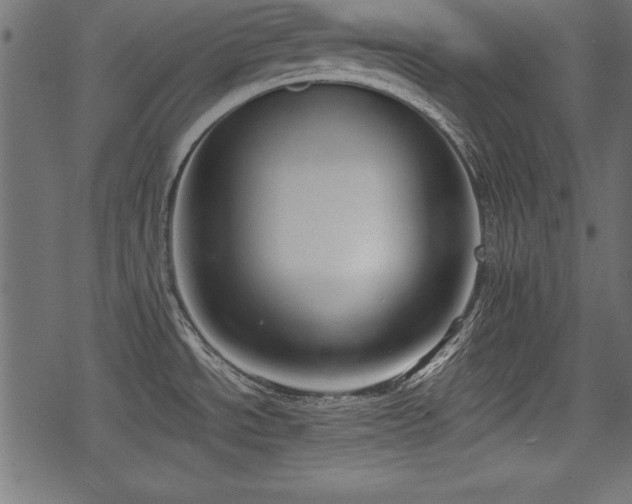 X0000078291534200611031219