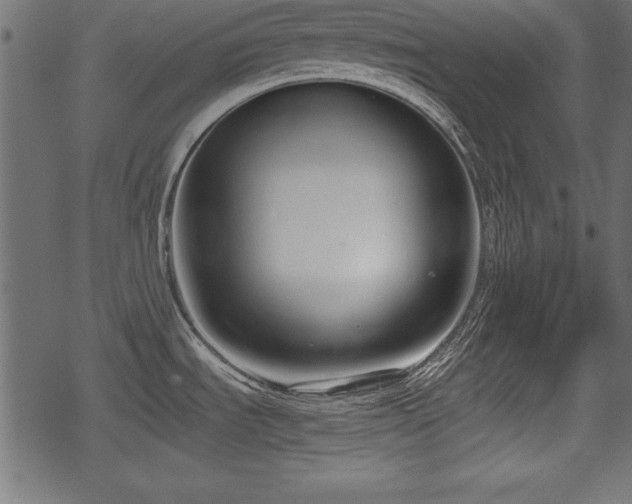 X0000078291535200611031219