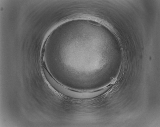 X0000078291536200611031219