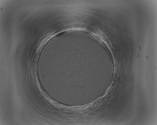 X0000078290001200611101120