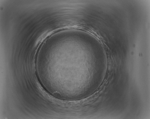 X0000078290002200611101120