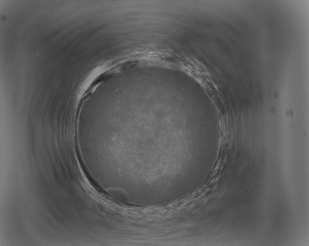 X0000078290003200611101120