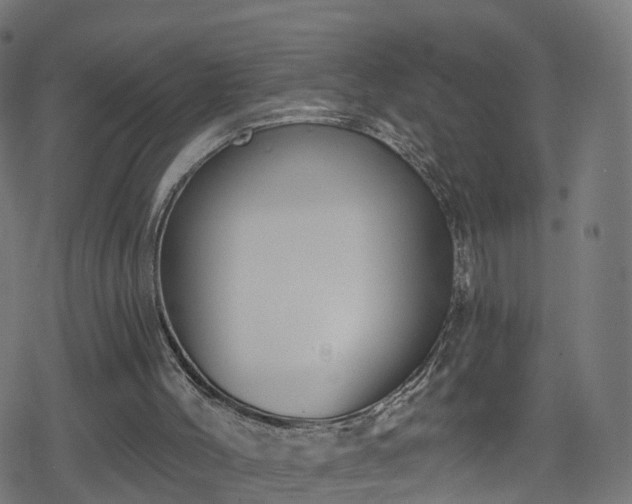 X0000078290004200611101120