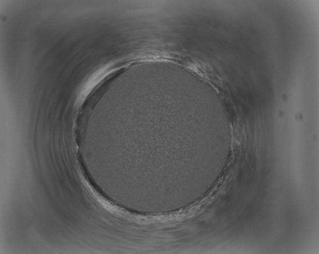 X0000078290005200611101120