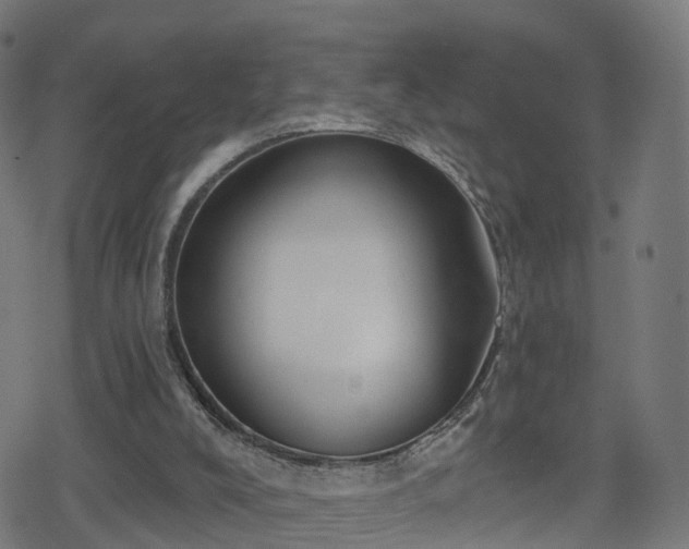 X0000078290008200611101120