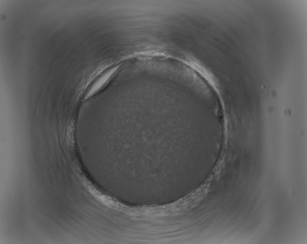 X0000078290009200611101120