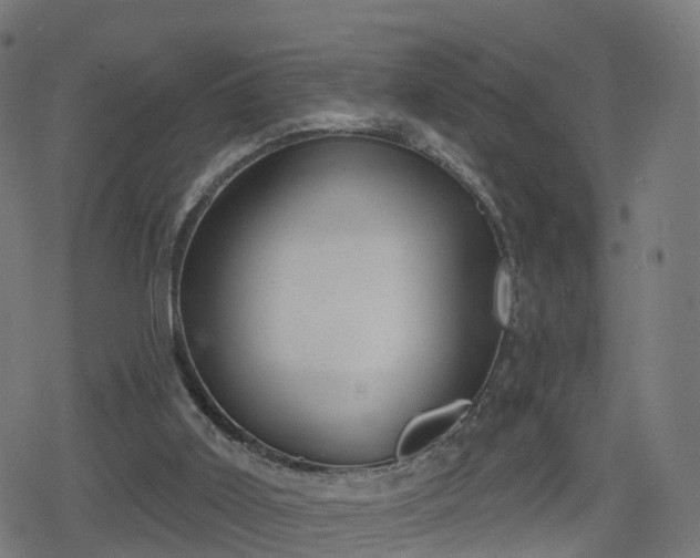 X0000078290011200611101120