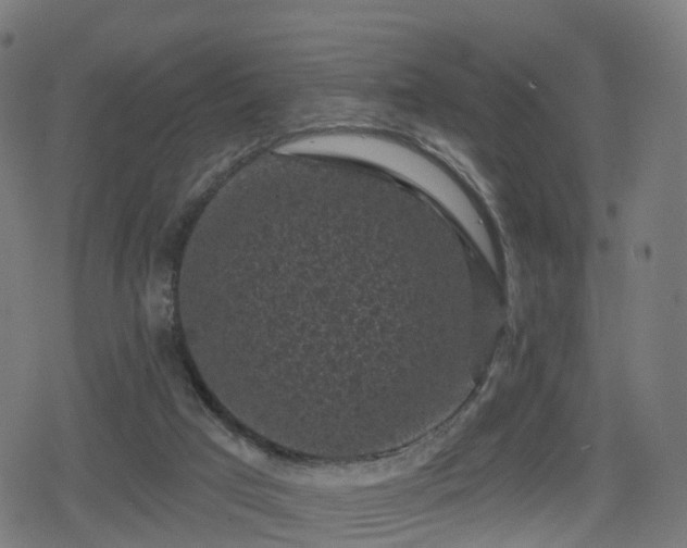 X0000078290017200611101120