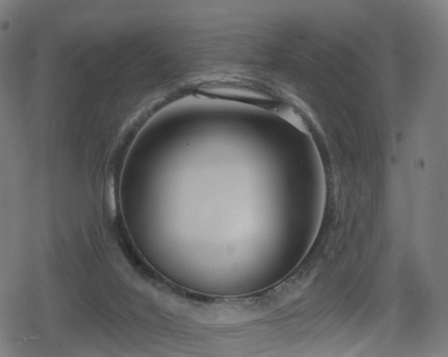 X0000078290020200611101120