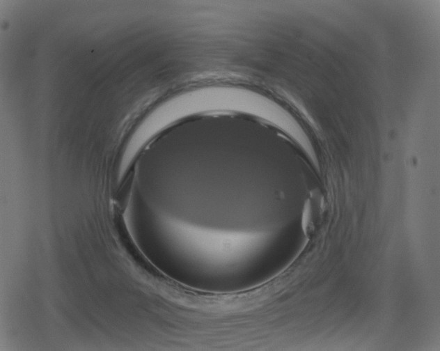 X0000078290023200611101120