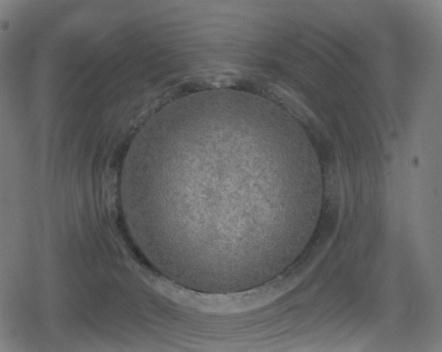 X0000078290030200611101119