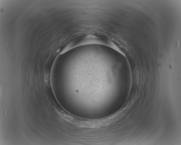 X0000078290033200611101119