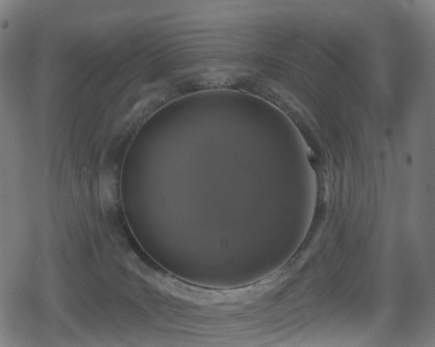 X0000078290035200611101119