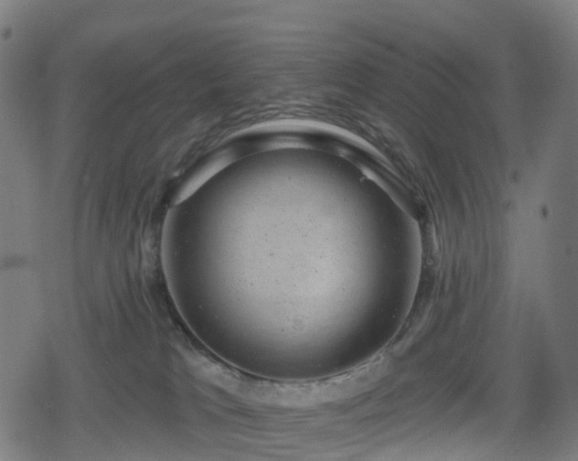 X0000078290037200611101119