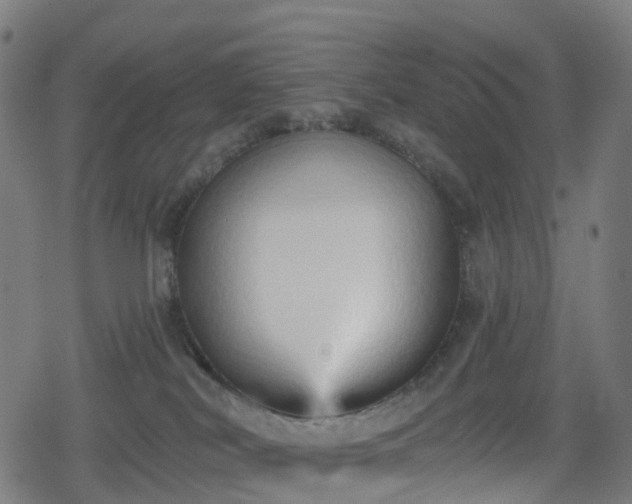 X0000078290038200611101119