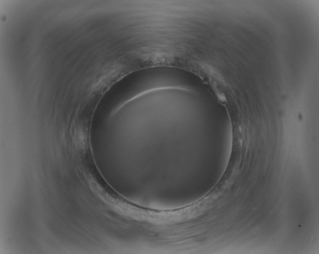 X0000078290039200611101119