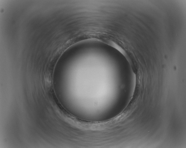 X0000078290040200611101119