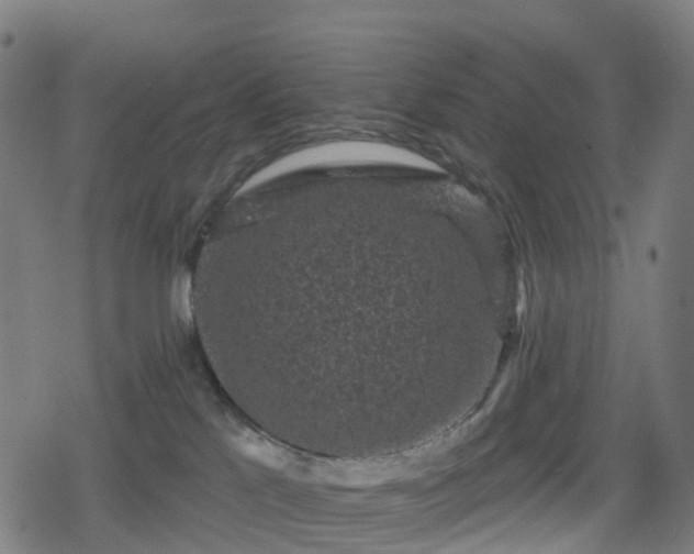 X0000078290041200611101119