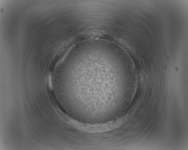 X0000078290042200611101119