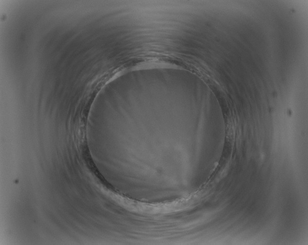 X0000078290043200611101119