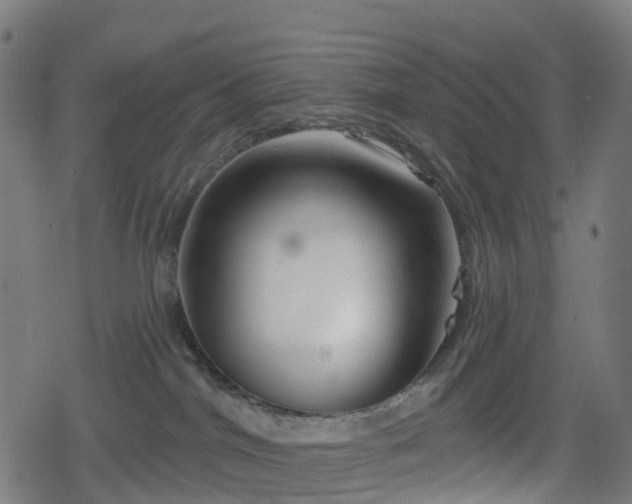 X0000078290044200611101119