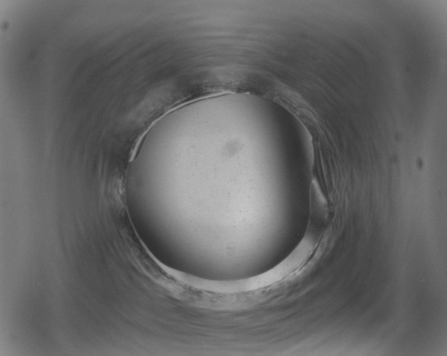 X0000078290045200611101119