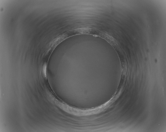 X0000078290047200611101119