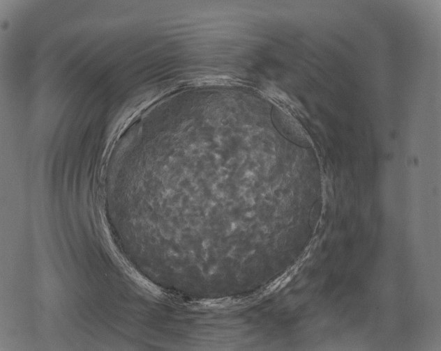 X0000078290049200611101118