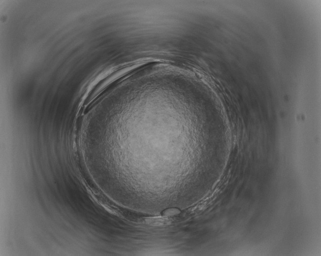 X0000078290050200611101118