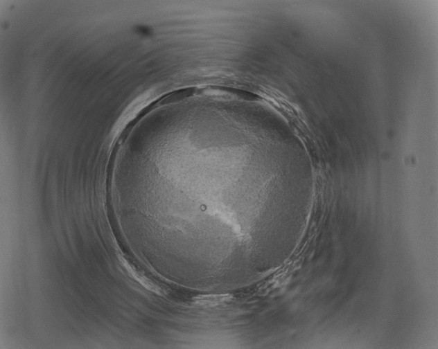 X0000078290051200611101118