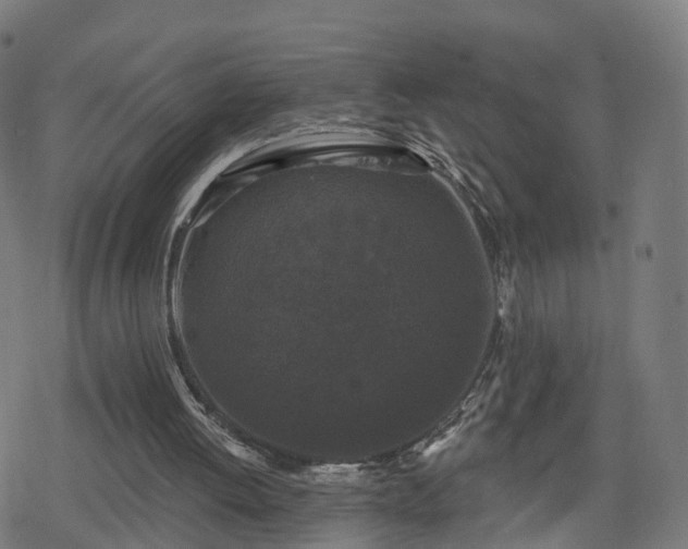 X0000078290052200611101118