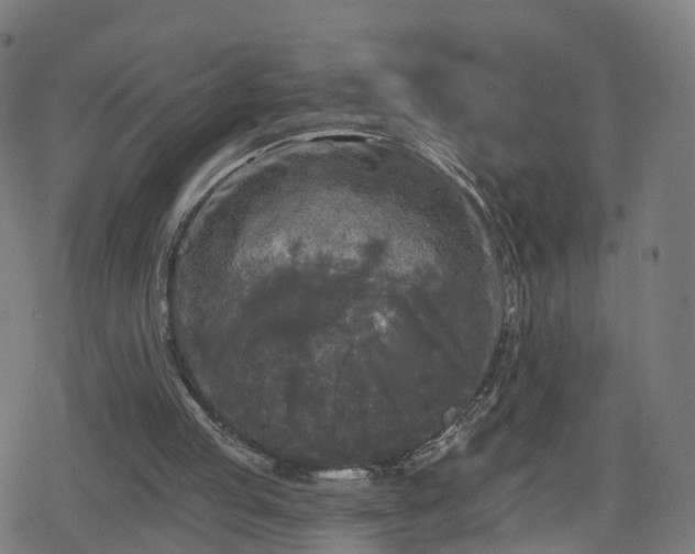 X0000078290053200611101118