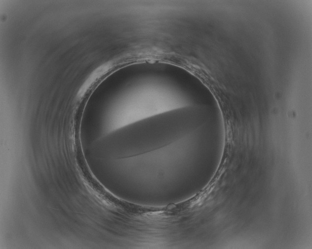 X0000078290054200611101118