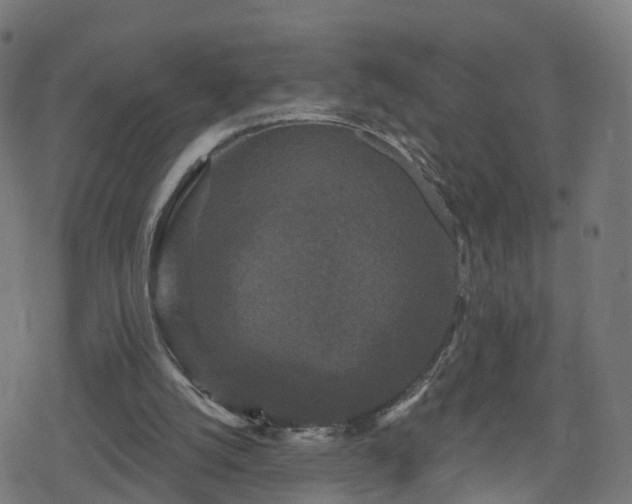 X0000078290056200611101118