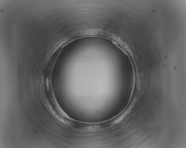 X0000078290057200611101118