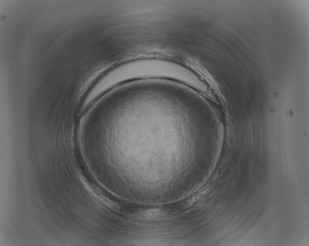 X0000078290058200611101119