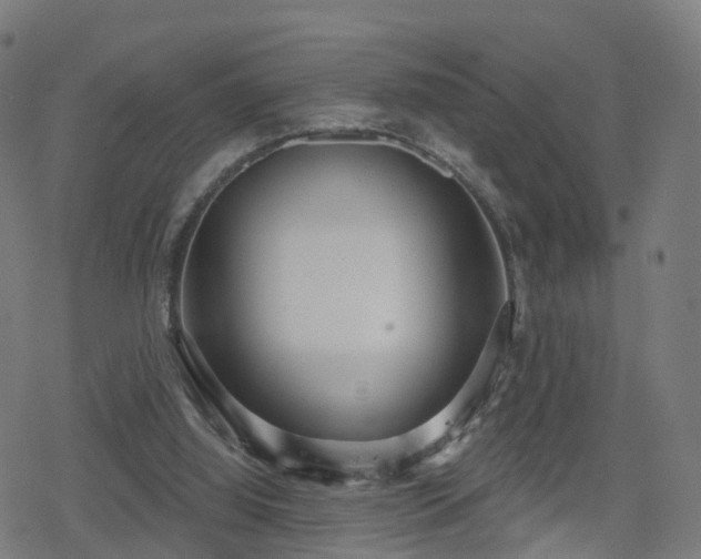 X0000078290060200611101119