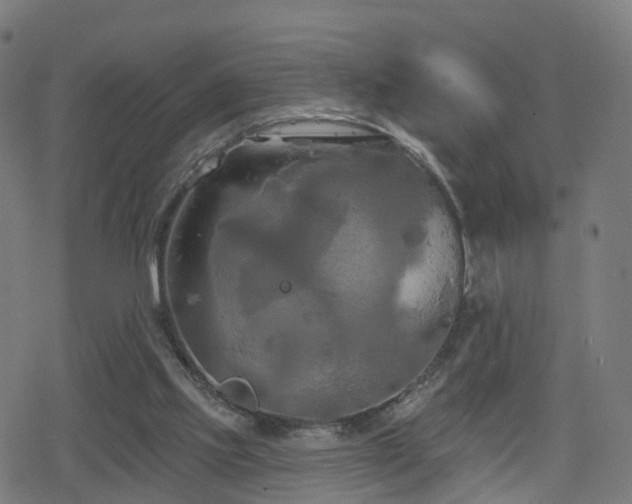 X0000078290061200611101119