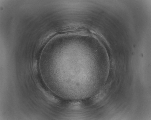 X0000078290066200611101119