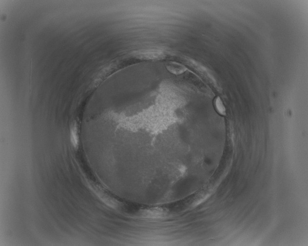 X0000078290069200611101119