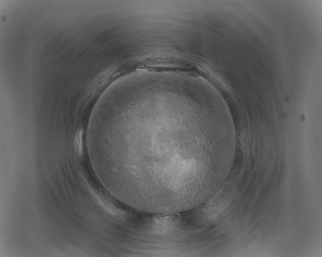 X0000078290070200611101119