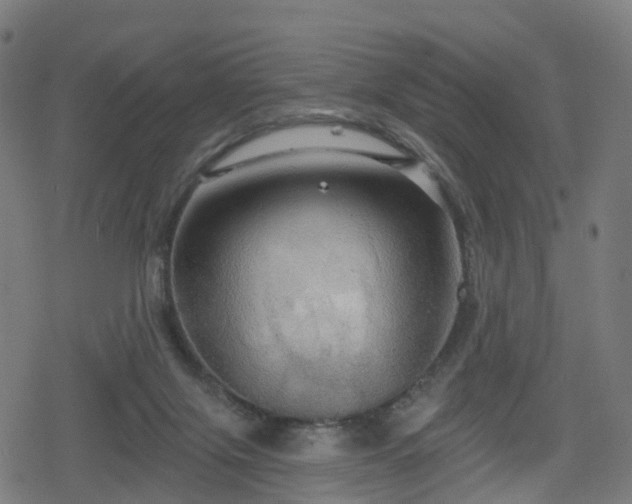 X0000078290071200611101119