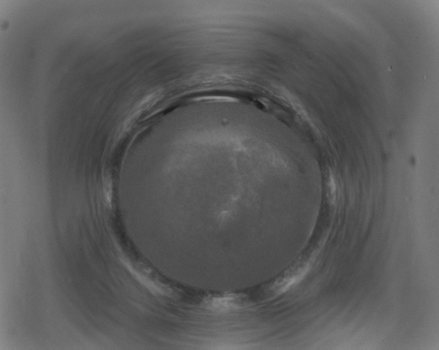 X0000078290072200611101119