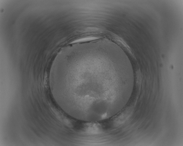 X0000078290073200611101119