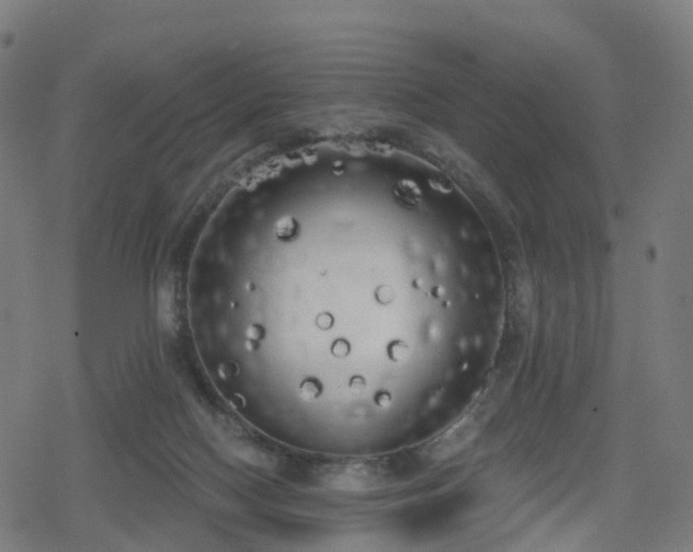 X0000078290074200611101119