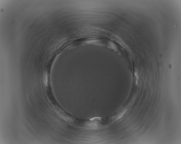 X0000078290076200611101119