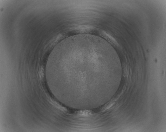 X0000078290077200611101119