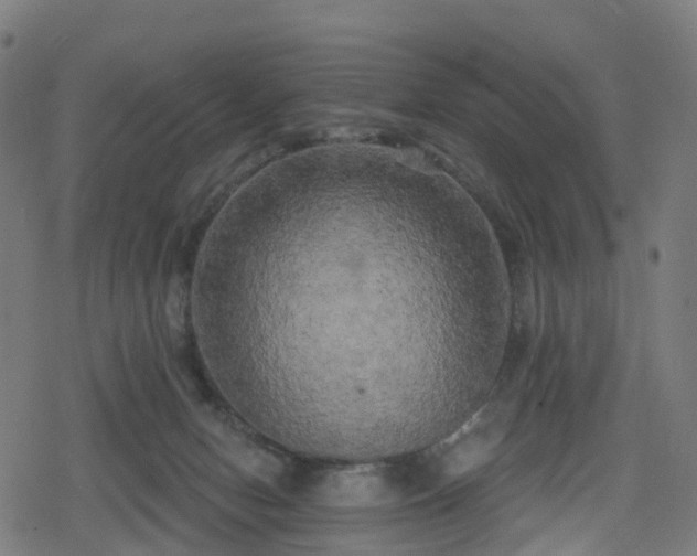 X0000078290078200611101119